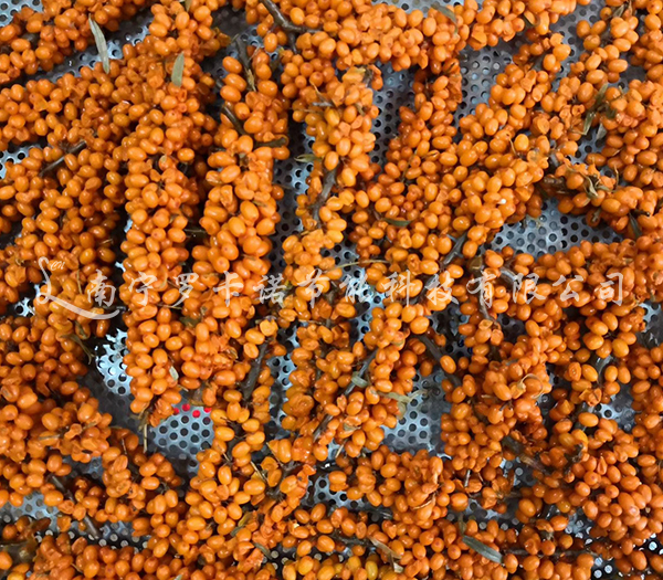 蚕茧烘干的作用和意义是什么? 蚕茧烘干的作用和意义是什么?