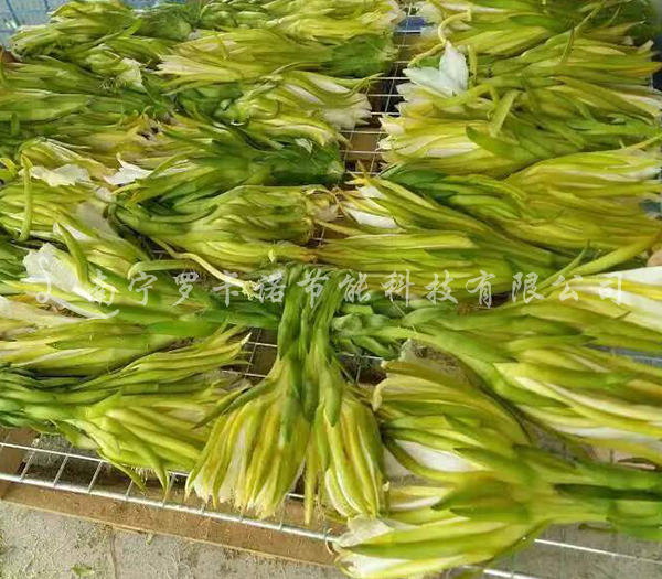 霸王花烘干 霸王花烘干