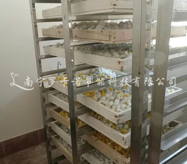 蚕茧烘干报价 蚕茧烘干报价