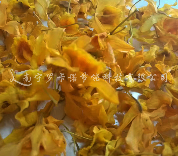 兰花烘干 兰花烘干