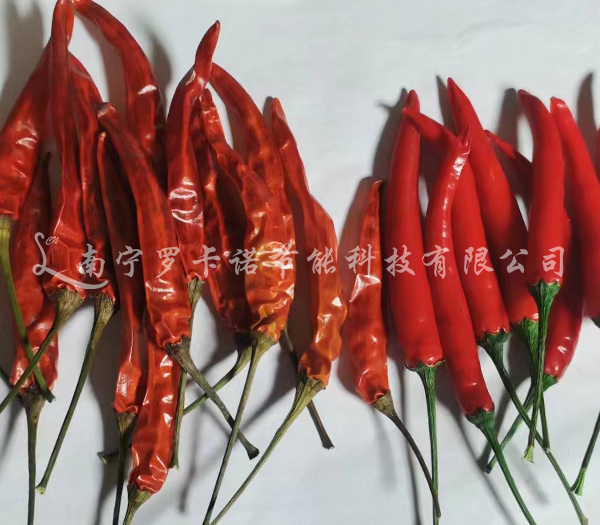 辣椒烘干多少钱 辣椒烘干多少钱