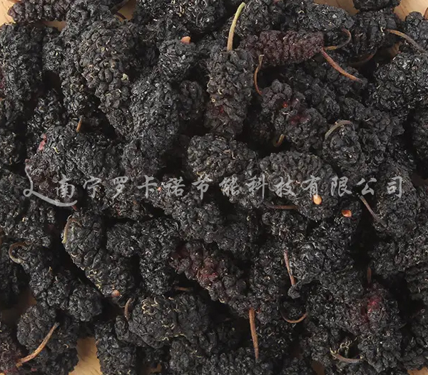 桑葚烘干 桑葚烘干