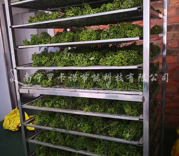 吴茱萸烘干 吴茱萸烘干