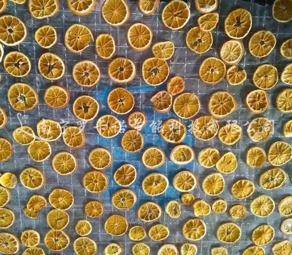 果干烘干机 果干烘干机