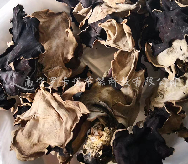 木耳烘干 木耳烘干