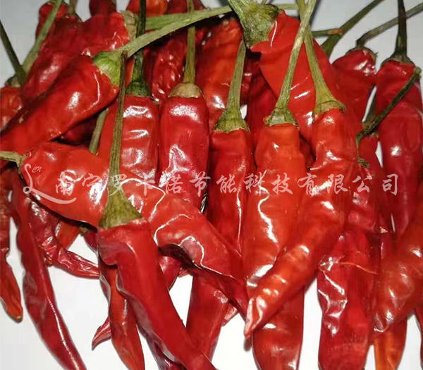 辣椒烘干