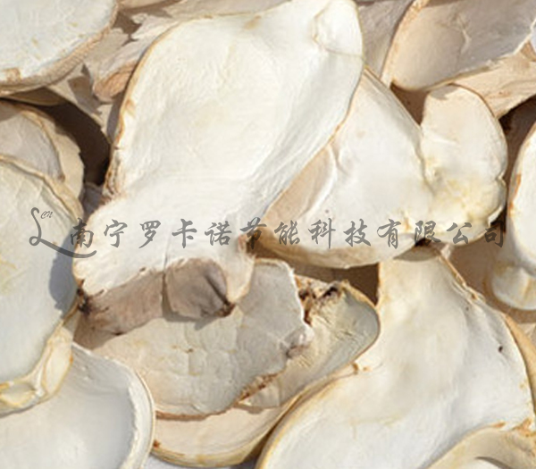 杏鲍菇烘干 杏鲍菇烘干