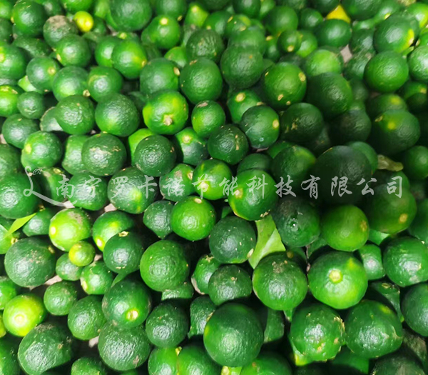 腊肉腊肠烘干机哪种好? 腊肉腊肠烘干机哪种好?