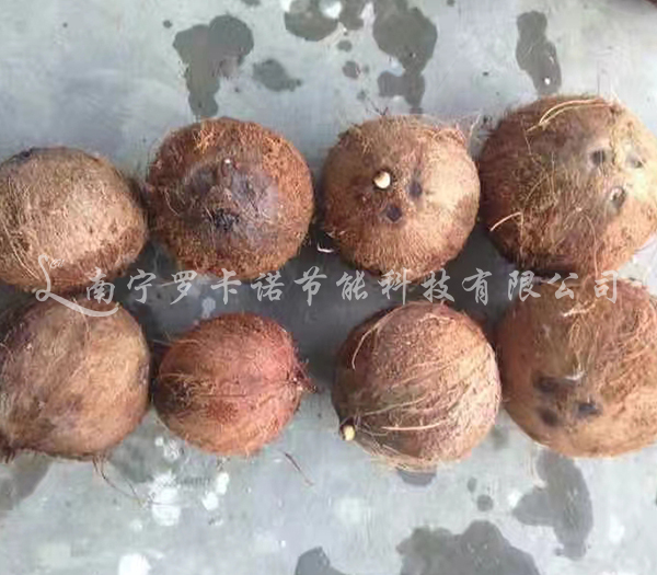 蚕茧烘干步骤有哪些? 蚕茧烘干步骤有哪些?