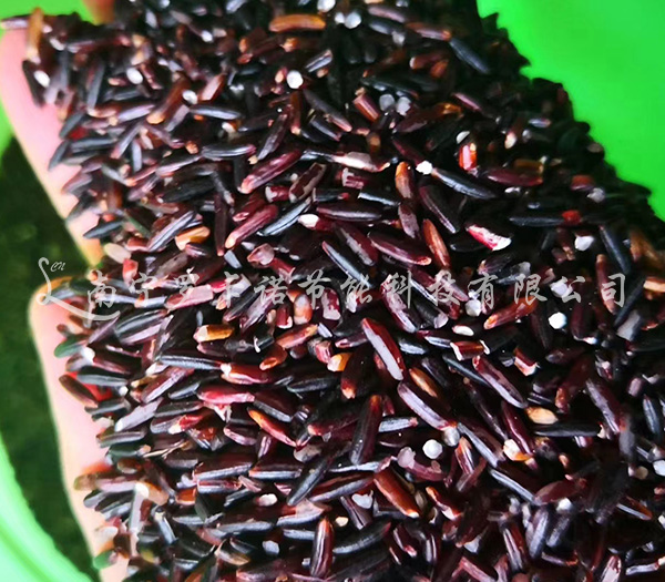 粮食烘干机 粮食烘干机