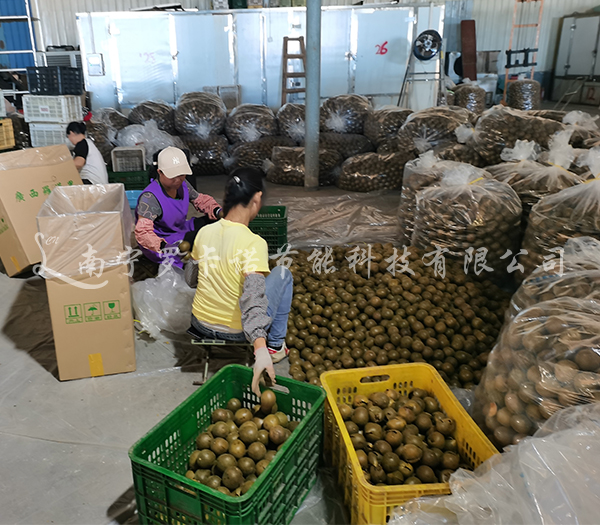 如何使用腊肉腊肠烘干机? 如何使用腊肉腊肠烘干机?