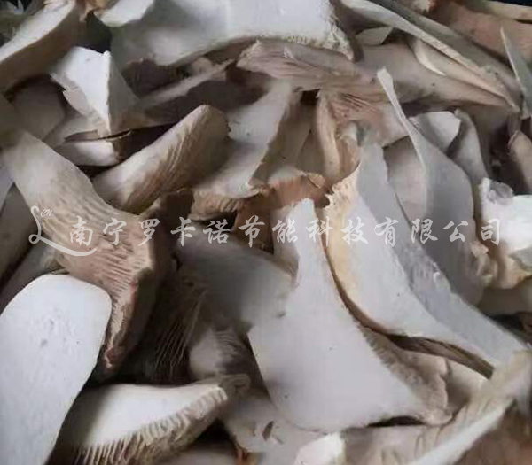杏鲍菇烘干