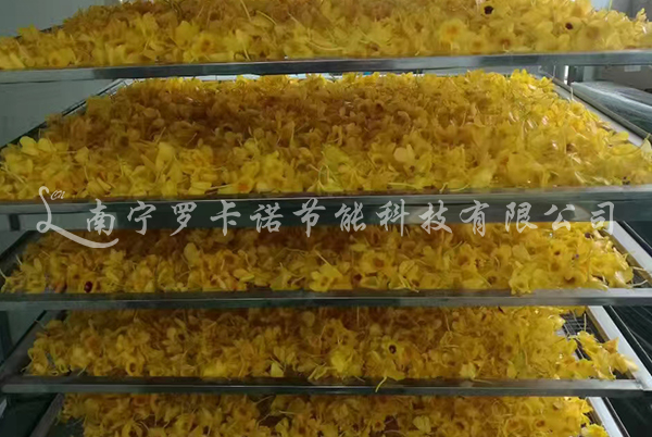 兰花烘干